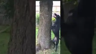 #hide