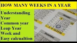 How many weeks in a Year