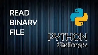 Read Binary File - Python Programming Challenges