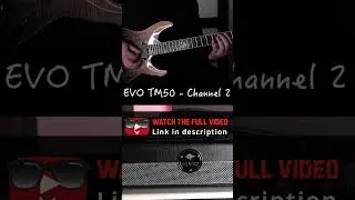 This Guitar Amp Is Awesome!! - EVO TM50