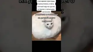 что делать