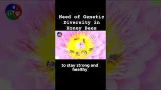 The importance of genetic diversity in honey bees 