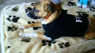 Mia