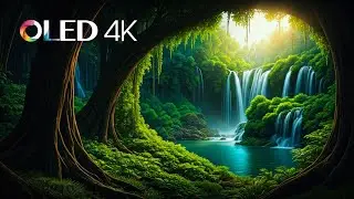 Looking for the world's most beautiful flowers? Look no further than this 12k HDR