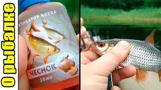 Рыбалка на поплавок.Активатор клева AQUA с запахом чеснока на рыбалке.
