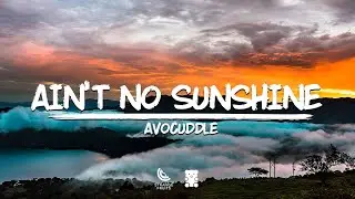 Avocuddle - Ain't No Sunshine (Lyrics)