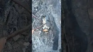 Popcorn 🍿 from a can on a bonfire 🔥