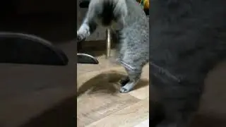 Что это за штучка? 😂 
