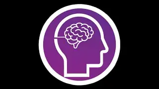 Study Mind's Work Experience