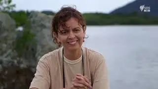 Brazil Coastlines   S01E05   The South