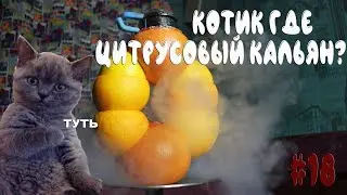 #18 Цитрусовый кальян