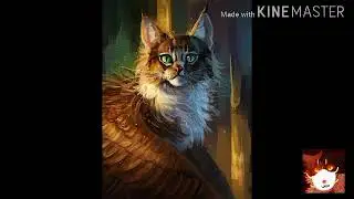 Не ангел коты воители ,фотки не мои ыы