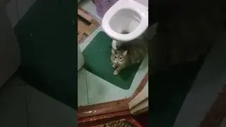 Филя дай мне поссать 😂😂😂 