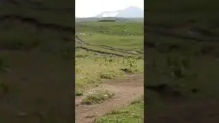 1 мая 2023 г.
