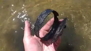 Пляжный коп на Днепре