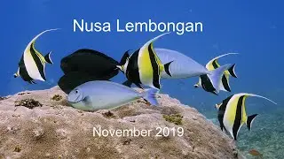 Nusa Lembongan - November 2019