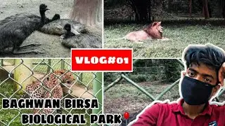 visiting zoo for the first time 🐒 || Ranchi || Rohans Verse
