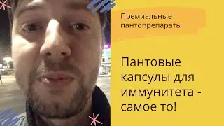 Пантовые капсулы при иммунитете - самое то!