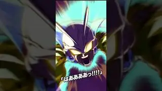LR Gamma 1 & Gamma 2 Standby Animation!!! (DBZ: DOKKAN BATTLE)