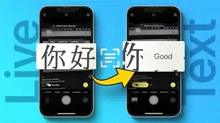 How to Use Live text on iOS 16: Amazing 🤩