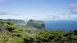 Ecossítio - Portela