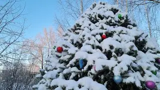 В Избушке в рождественские холода