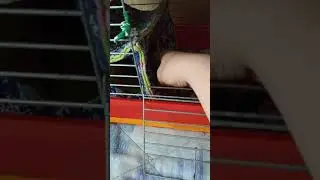 Черная с мусорки