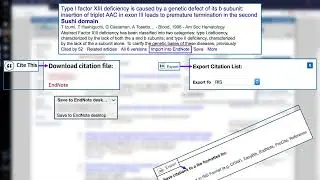 How to use EndNote X9 in 6 minutes