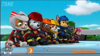 PAW Patrol | Moto Pups | Wildcat Joins The PAW Patrol (Sneak Peak)
