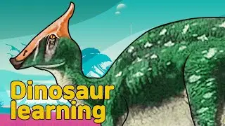 Dinosaur Saurolophus Collection | Herbivorous Dinosaur Saurolophus | Dinosaur Saurolophus