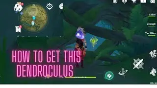 How to get Locked Dendroculus in Gandharva Ville, Sumeru