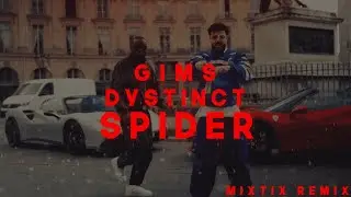 GIMS & DYSTINCT - SPIDER (Mixtix Remix)