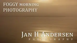 FOGGY morning PHOTOGRAPHY