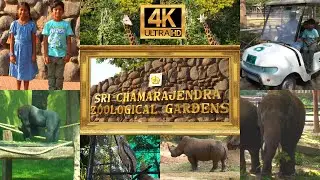 Mysore Zoo | Sri Chamarajendra Zoological Gardens | On Buggy Electric Vehicle | Mysuru | Karnataka
