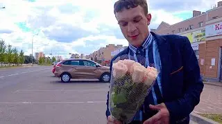 Dima's last date