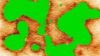 Page Burn Opening Green Screen | EveryThing Green Screen