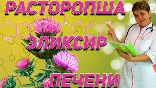 💊 РАСТОРОПША ✅ самое лучшее средство 💚 ДЛЯ ПЕЧЕНИ ✅