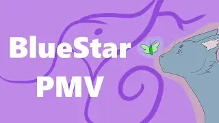 BlueStar PMV | Open (13/24 Taken)