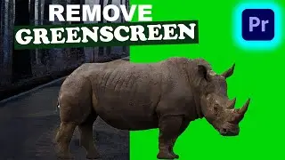 HOW TO REMOVE GREEN SCREEN IN PREMIERE PRO
