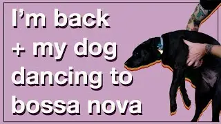 I'm back!!!! Also, here's a dancing dog