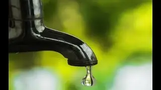 drip!