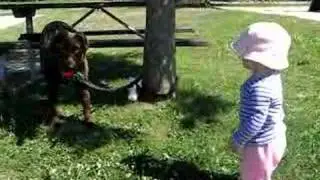 Bronwyn playing ball with Abby