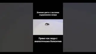 #сахар #диабет #инсулин #деменция #мозг #болезни #болезнь #здоровье #зож #здоровыйобразжизни