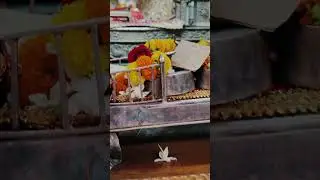 Roaming around in Mayapur
