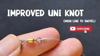 How to tie IMPROVED UNI KNOT to connect the MAIN LINE to your SWIVEL #fishingknot #uniknot
