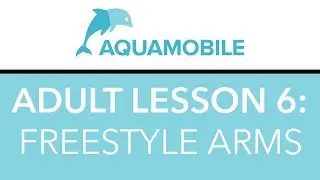 How to Swim Freestyle: How to Do Freestyle Arms