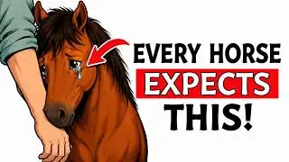6 Unspoken Rules Your Horse Expects You to Follow