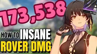 How To DAMAGE SHOWCASE (Rover Liberation Damage) | Wuthering Waves