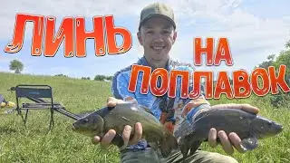 Линь на поплавок - Рыбалка на озере
