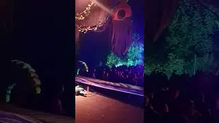 Drip Drop - Insomnia Festival 2024